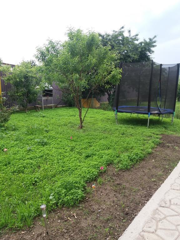 Casa Ariana Otel Curtea de Argeş Dış mekan fotoğraf