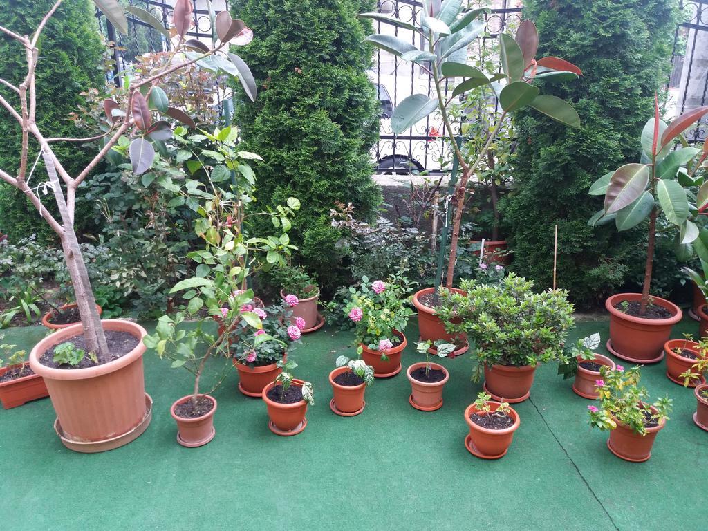 Casa Ariana Otel Curtea de Argeş Dış mekan fotoğraf